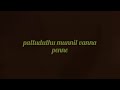 Pattuduthu Munnil Vanna Penne Song Malayalam 2026 Copy