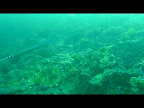 2018 1230 171806 039