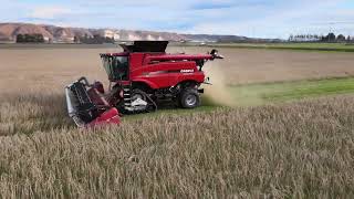 CASE　IH　7140
