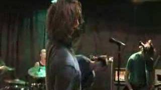 Look What I Did - Lightningbugs