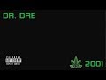 Dr. Dre - The Message