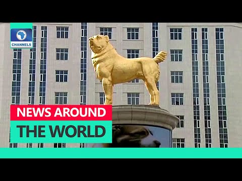 News Around The World In 5 | 13/11/2020