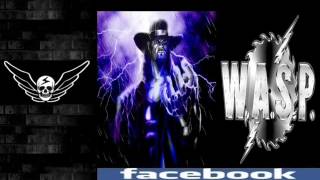 WASP Arena of Pleasure USA Especial