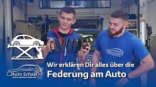 Die Federung - alles was du wissen musst!  | #TeamSchaalErklärt