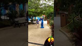 Sesame Street Safari of Fun: Windy Day Stroll