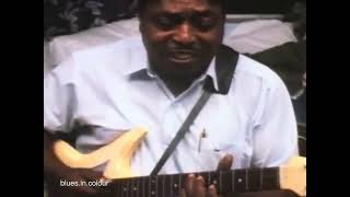 Johnny Shines - live in 70s