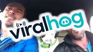 You Raise Me Up feat. Junior The Bulldog || ViralHog