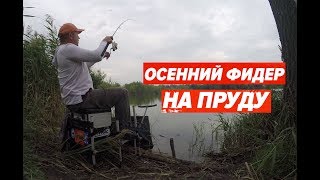 Ссылка