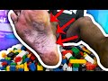THE LEGO SHOE CHALLENGE