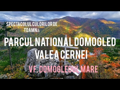 VF. DOMOGLED: Culori deosebite de toamnă 