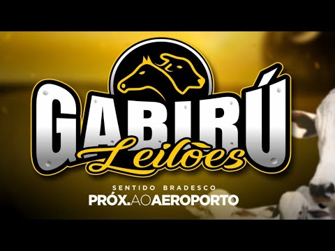📍💻 ▶️ GABIRÚ LEILÕES / 📍💻 Conceição do Araguaia -  Pará 20/10/2025 ◀️