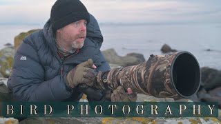 BIRD PHOTOGRAPHY at the coast // My tips in the field - Z9 auto capture