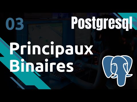 POSTGRESQL 3 PRINCIPAUX BINAIRES