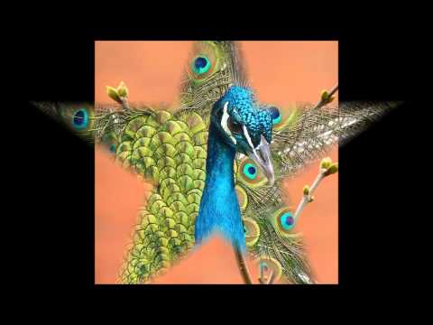 Wochenorakel 20. bis 26. April