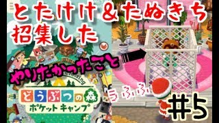 無課金でとたけけ＆たぬきちを招集！山芋プレイ！どうぶつの森ポケットキャンプ！
