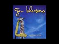 Gin Blossoms - Heart Shaped Locket HQ (Audio)