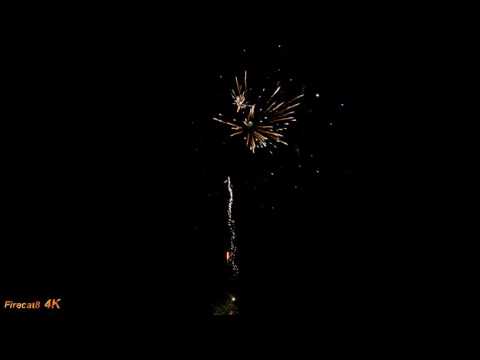 Flower King - 25 shot Crackling Mine x2