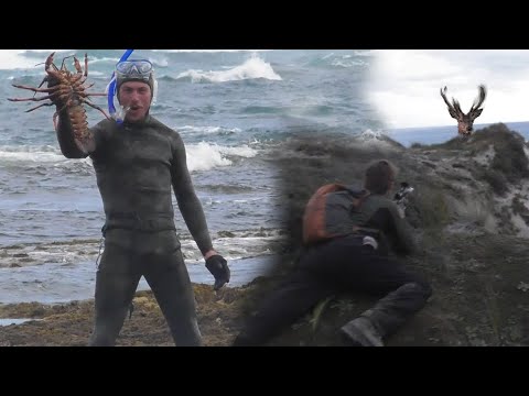 Hunting and gathering in the New Zealand's wildest national park - Fiordland