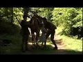 Strayed Военные фильмы