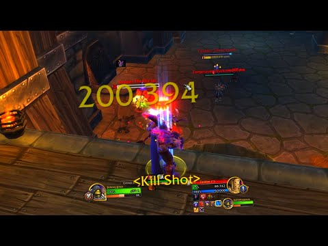10.1.0 Marksmanship Hunter Dragonflight Season 2 PvP Crit Montage vol. 2