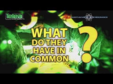 Що таке Квантово Молекулярний Резонанс QMR?