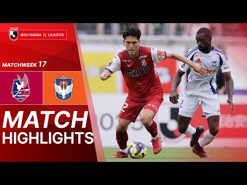 bg-highlight