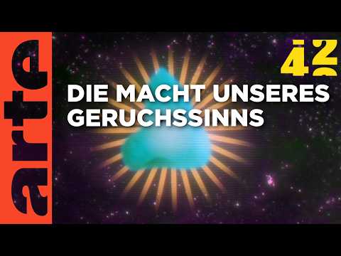 Welche Macht haben Gerüche?  | 42 - Die Antwort auf fast alles | ARTE