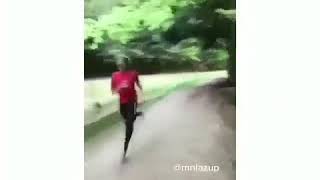 Download lagu Apes dikejar anjing mp3