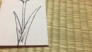 お花コレクション 花言葉歌〔チューリップ〕