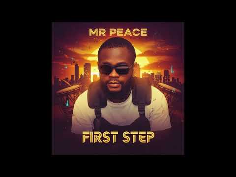Mr Peace _ENJOYEMENT (Audio officiel)