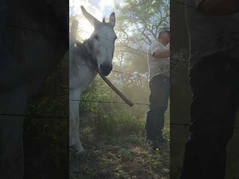 #RallyYMas #Prime #Vado #RioJaime #Salsacate #RallyDeLosVolcanes #Volta #Tortolo 29 11 25