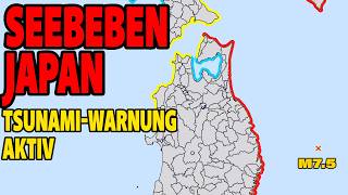 Seebeben Japan - Tsunami-Warnung aktiv