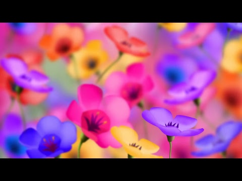Night And Day video
