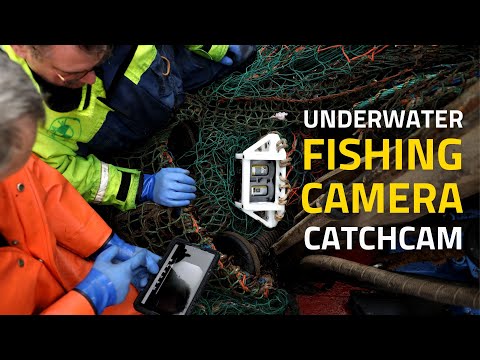 CatchCam video thumbnail
