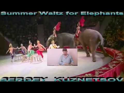 "Summer Waltz for Elephants!" Летний Вальс для Слонов! Сергей Кузнецов:15.07.21(12:59)