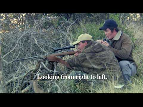 Hunting the Common Duiker - When Opportunity Knocks