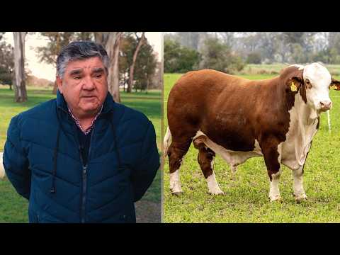 Estancia La Pelada - ENTREVISTA A EDUARDO SAINT MARTIN - Cabaña Marcaojo Braford - Canal Ganadero