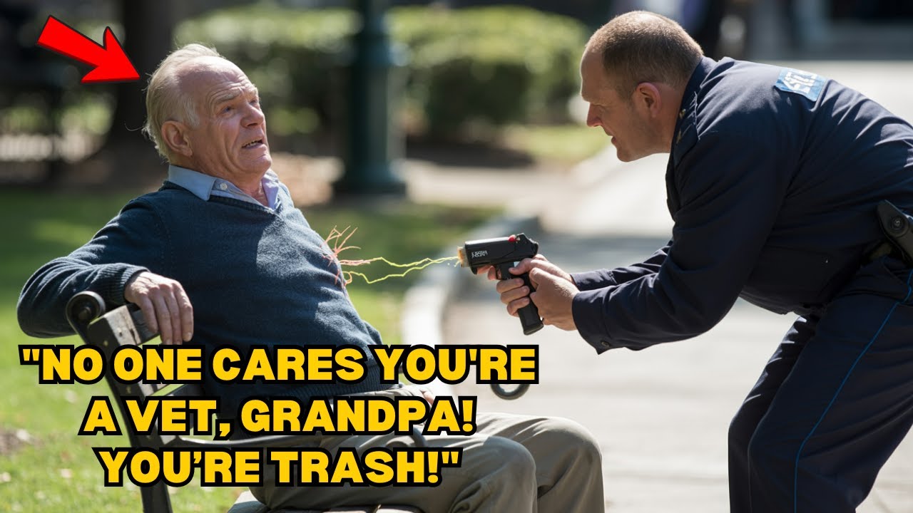 Security Tased a Sleeping Veteran—Then the Pentagon Responded Within Minutes