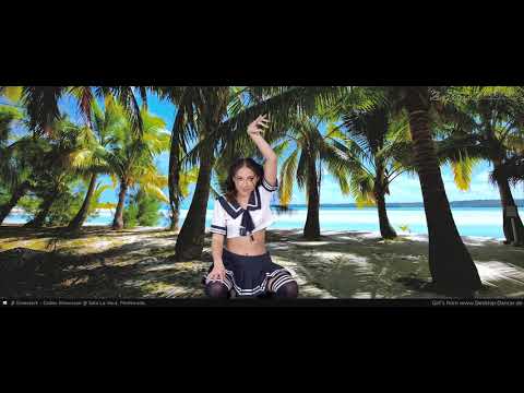 ♫ Palm Trees on Beach 12 ♫ Desktop Dancer Music ♫