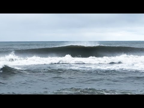 SCORING SURF on the WRONG SIDE of the ISLAND