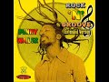 Bunny Wailer - Dance Ha Fi Gwan - (Rock'n Groove Extented)