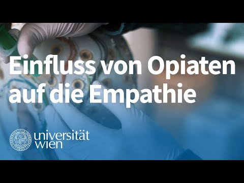 Wie wirken sich Opiate auf die Empathiefähigkeit aus? | Vienna Cognitive Science Hub