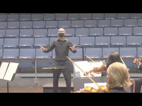 Bridge suite for string orchestra 2nd movement