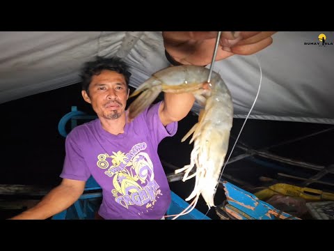 Night fishing using shrimp for bait | CATCH AND COOK