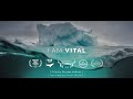 I AM VITAL