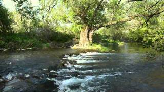 preview picture of video 'Cool la rivière : l'Ouche'