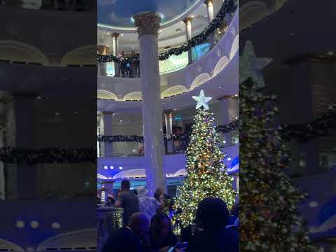 Thumbnail for Budgeting 101: Save $$ on Christmas decorations by cruising for the month of Dec.  #carnivalvenezia