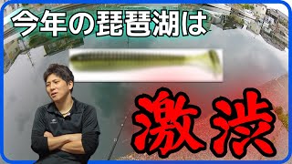 【バス釣り】激渋になった琵琶湖の現状