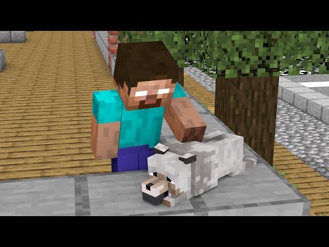 Touching Stories About Pets - Minecraft Animation