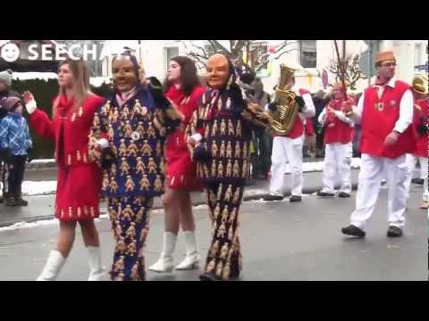 Froschenzunft - Jubiläumsumzug 100 Jahre: Radolfzell am Bodensee, 01.02.2013